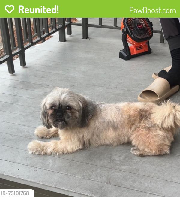 Reunited Male Dog last seen Basin and Treme st, New Orleans, LA 70112