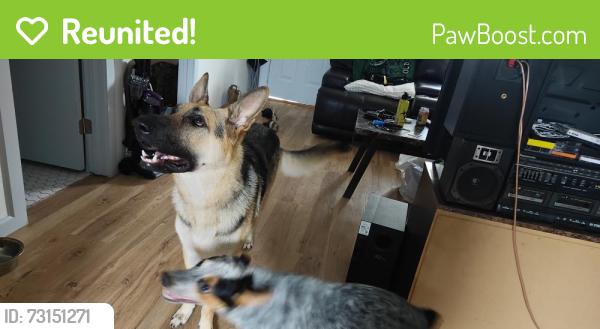 Reunited Female Dog last seen N May avenue and 29th street Oklahoma city, Oklahoma City, OK 73107