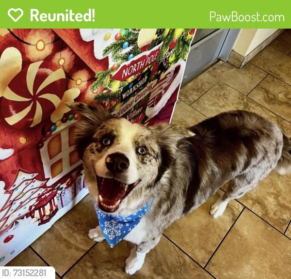 Reunited Male Dog last seen Chain collar, Rio Rancho, NM 87124