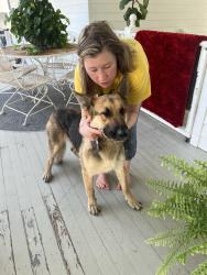 Found/Stray Female Dog last seen Dyer Road, Central, LA 70714