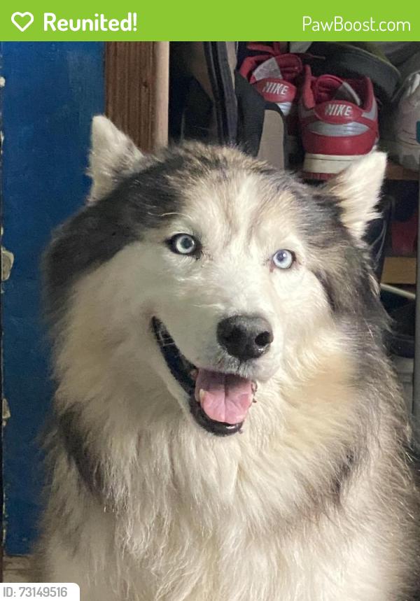 Reunited Male Dog last seen Police said they may have saw him on (Ne 125st 12ave), Biscayne Park, FL 33161