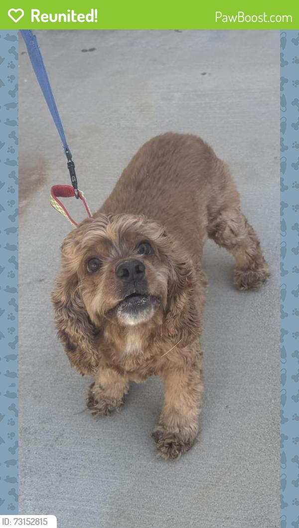 Reunited Unknown Dog last seen Claro Way adn Valiente Dr, Palmdale, CA 93551