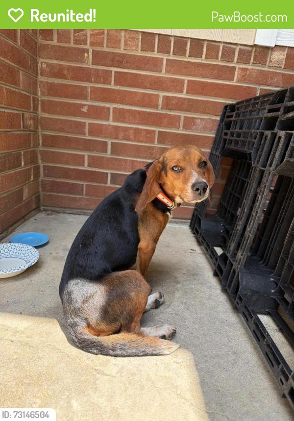 Reunited Male Dog last seen Marley Rd, Carthage nc, Carthage, NC 28327