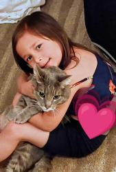 Reunited Male Cat last seen Pulgas, East Palo Alto, CA 94303