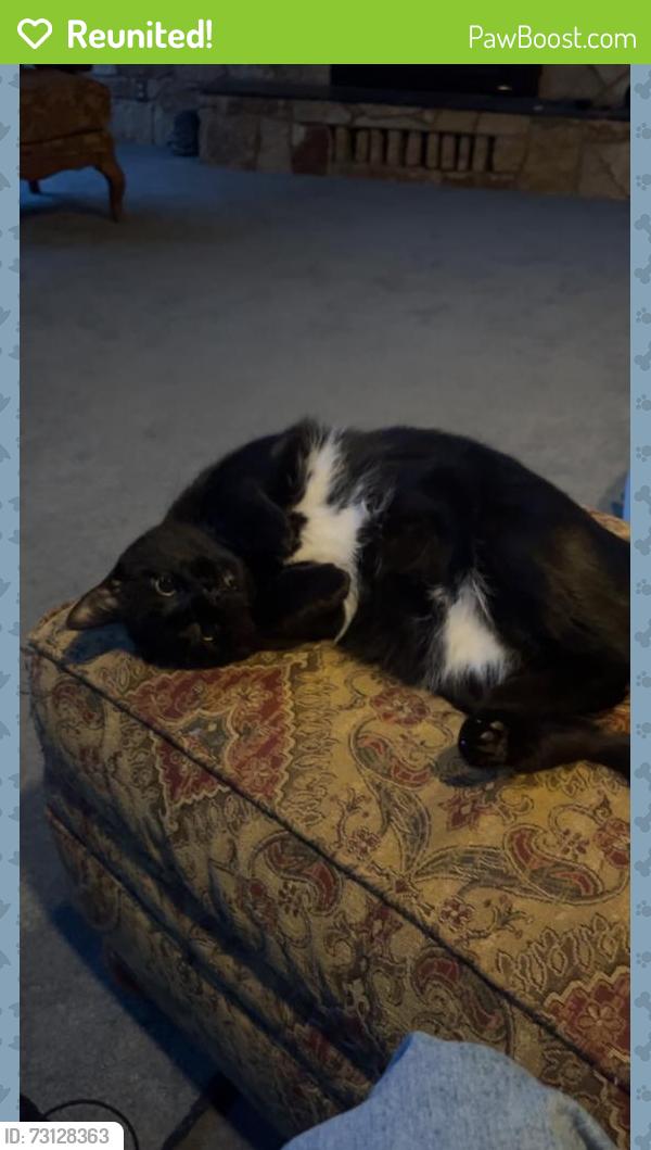 Reunited Female Cat last seen West river drive, New Richmond, WI 54017