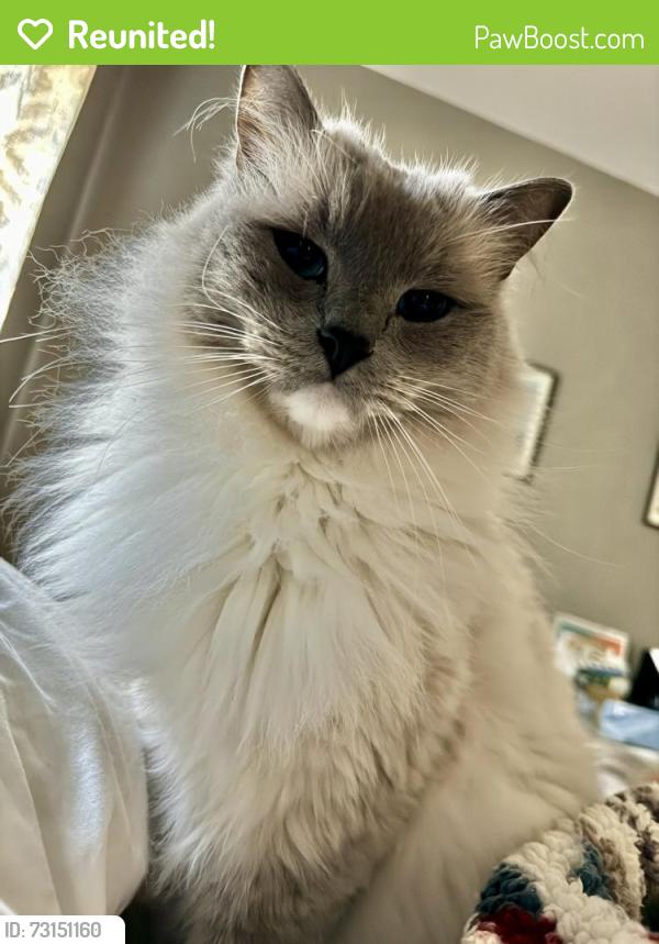 Reunited Male Cat last seen 26th & Kearney, Denver, CO 80207
