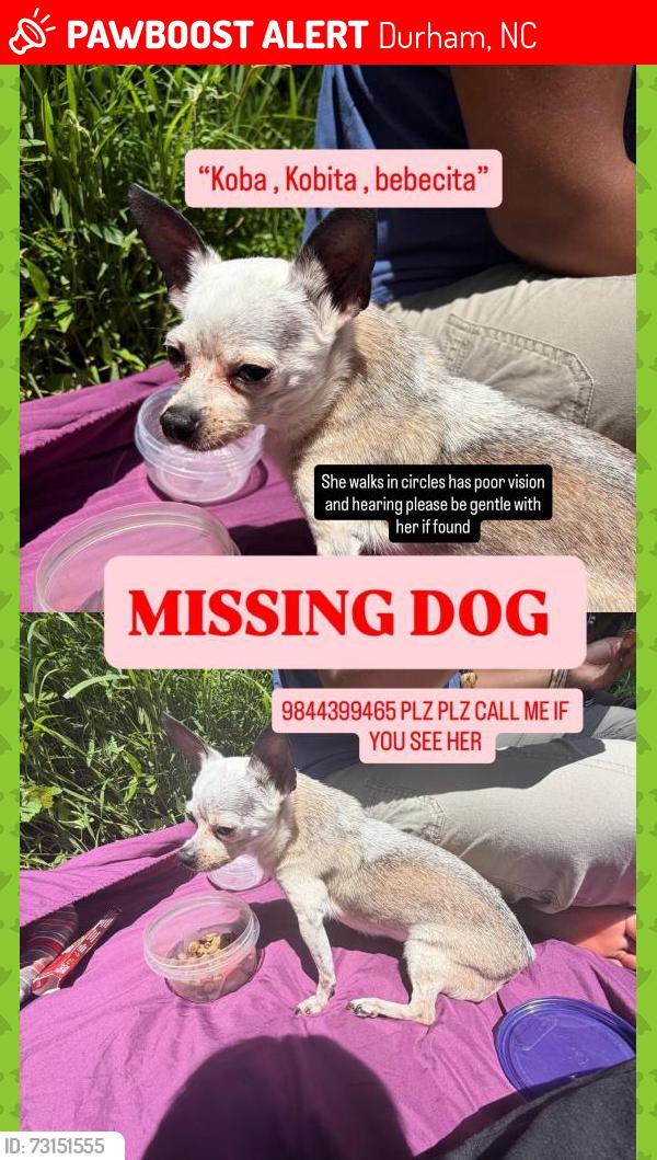 Lost Female Dog last seen corner of Parker st & Arnette Ave, Durham, NC 27722
