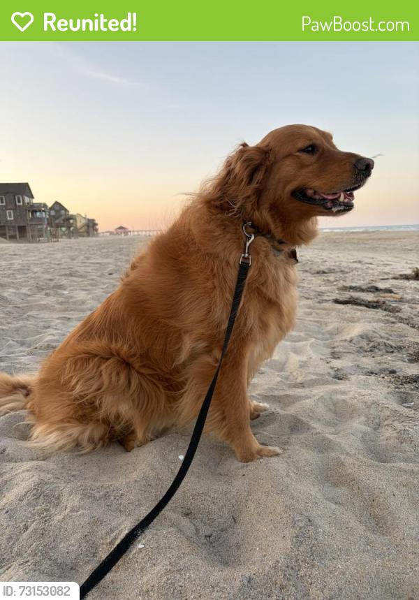 Reunited Female Dog last seen Apollo, Dale City, VA 22193