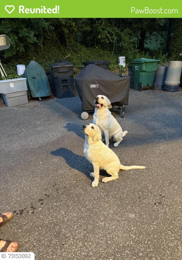 Reunited Male Dog last seen River road near UR, Henrico, VA 23229