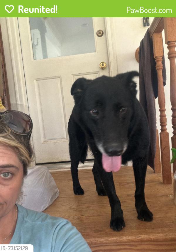 Reunited Male Dog last seen Dunlap rd winterville ga, Dawson Rd, GA 30683