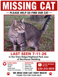 Lost Male Cat last seen Vista Ridge/Highland Park, Redding, CA 96003