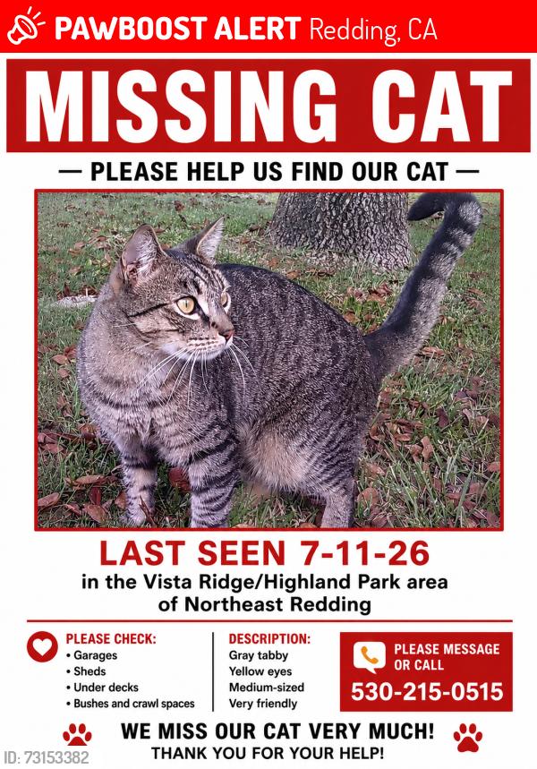 Lost Male Cat last seen Vista Ridge/Highland Park, Redding, CA 96003