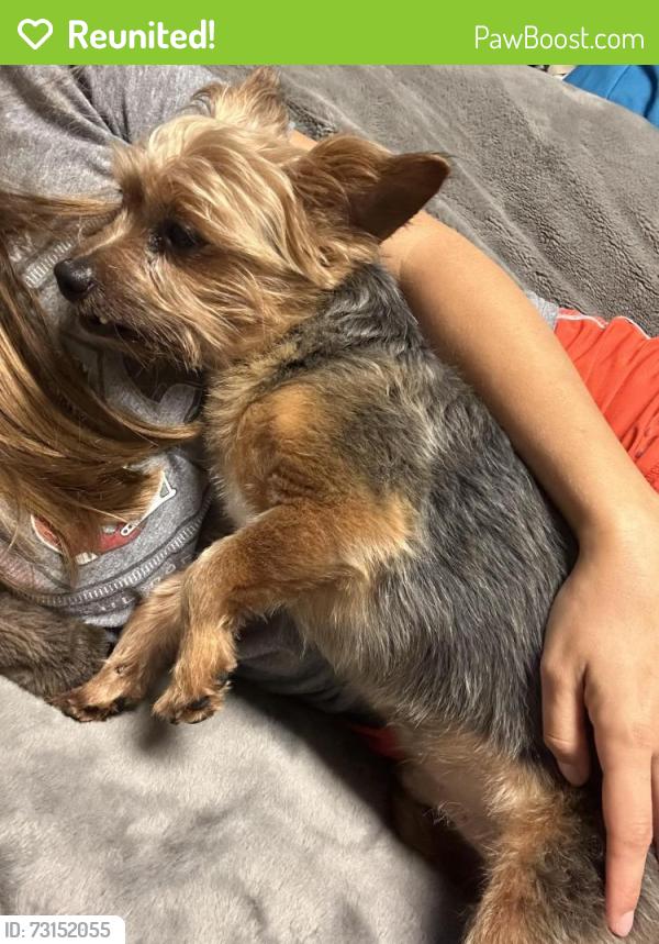 Reunited Male Dog last seen Lewis Rd and Hiram Lithia Springs, Powder Springs, GA 30127