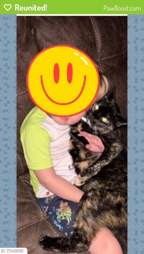 Reunited Female Cat last seen Broadview, Parma, OH 44134