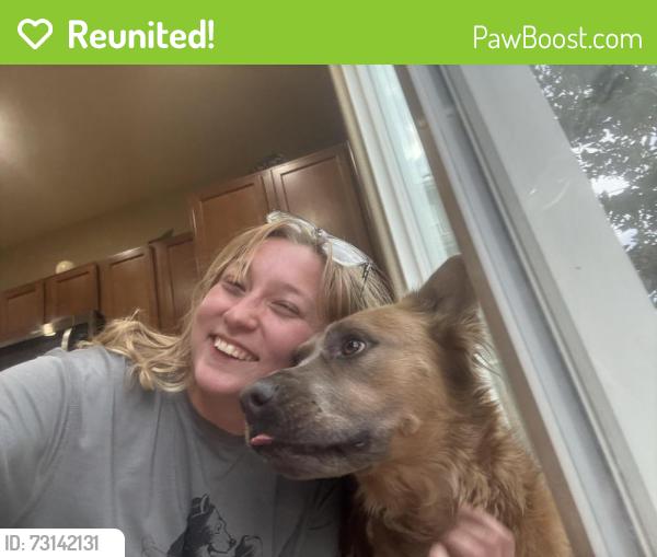 Reunited Male Dog last seen Near Cooper Ave, Colorado Springs, CO 80905