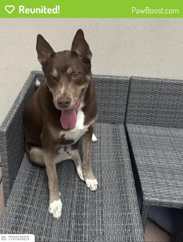 Reunited Male Dog last seen 95th kessler, Overland Park, KS 66212