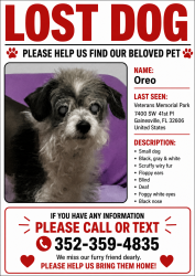Lost Male Dog last seen Veteran’s Memorial Park, Gainesville, FL 32608