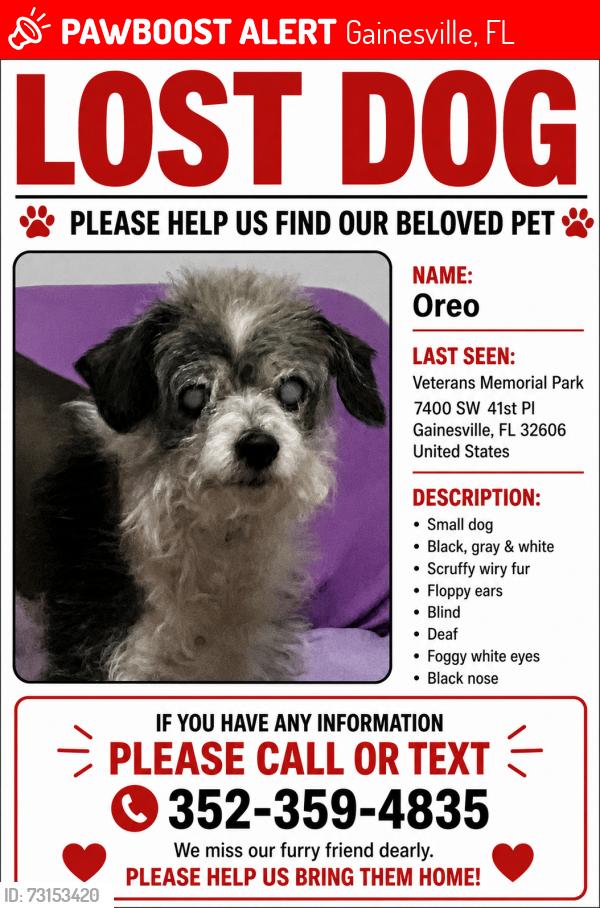 Lost Male Dog last seen Veteran’s Memorial Park, Gainesville, FL 32608