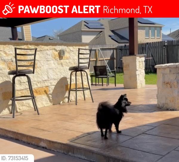Lost Female Dog last seen Glade landing ln, Richmond, TX 77407