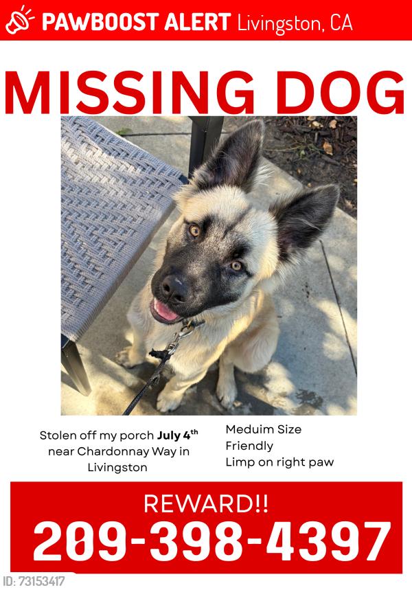 Lost Male Dog last seen Livingston, Livingston, CA 95334
