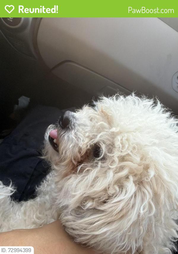 Reunited Female Dog last seen West shields and fruit, Fresno, CA 93705