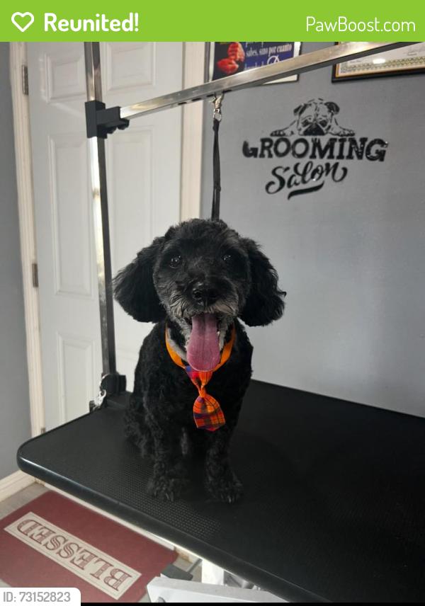Reunited Male Dog last seen Near Prairie Dr Adelanto, CA 92301 United States, Adelanto, CA 92301