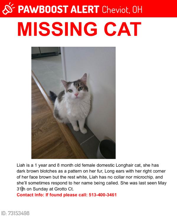 Lost Female Cat last seen Grotto court, Cheviot, OH 45211