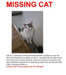 Lost Female Cat last seen Grotto court, Cheviot, OH 45211