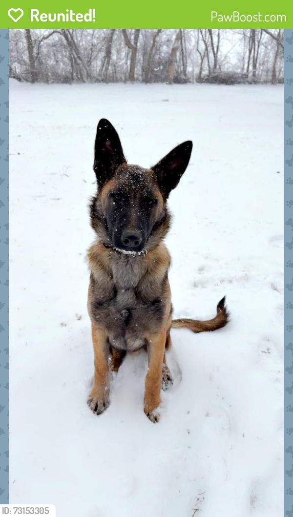 Reunited Male Dog last seen Near il rt 120 woodstock il, Woodstock, IL 60098