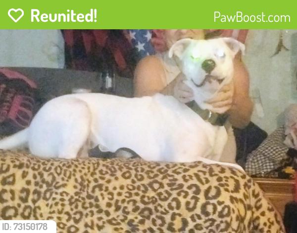 Reunited Male Dog last seen Lewis and apache, Tulsa, OK 74110