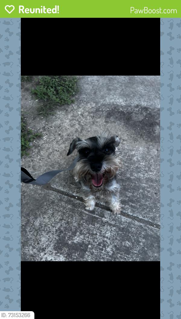 Reunited Unknown Dog last seen fulton and agarita, San Antonio, TX 78212