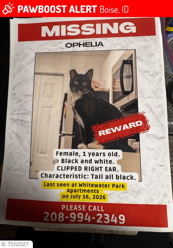 Lost Female Cat last seen Whitewater park blvd, Boise, ID 83702