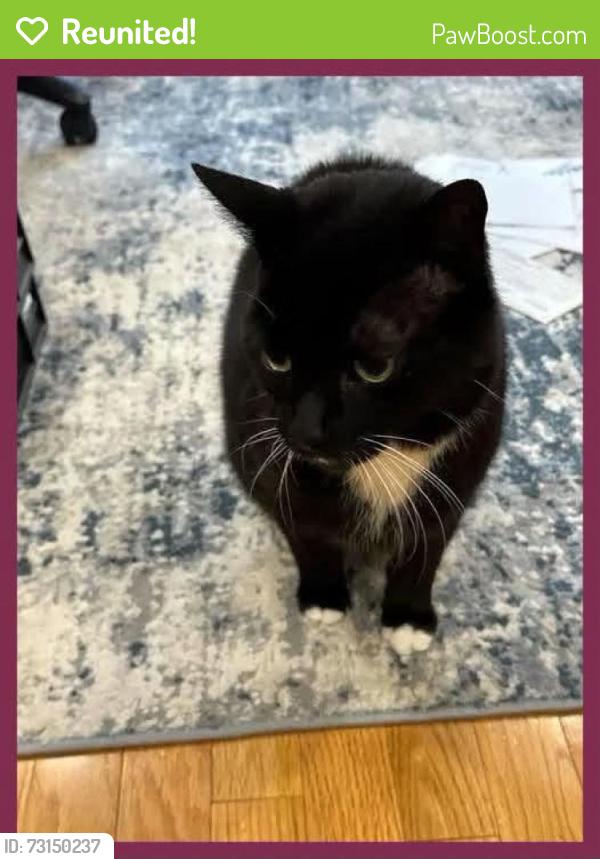 Reunited Male Cat last seen Des Coniferes / Gardenway, Ottawa, ON 