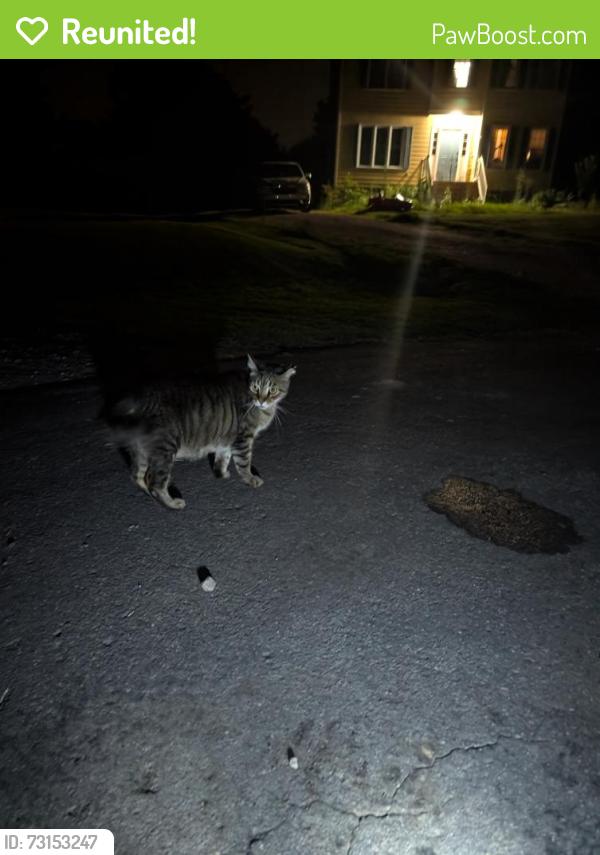 Reunited Male Cat last seen Benjamin Hill Court & Old Mountain Rd, Henrico County, VA 23060