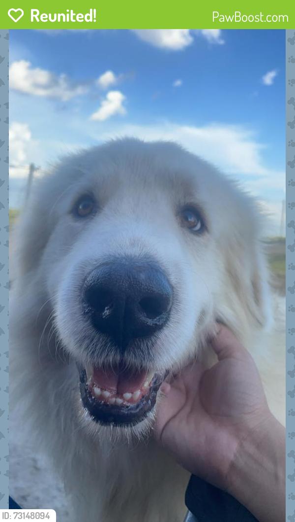 Reunited Male Dog last seen Indian creek, San Antonio, TX 78242