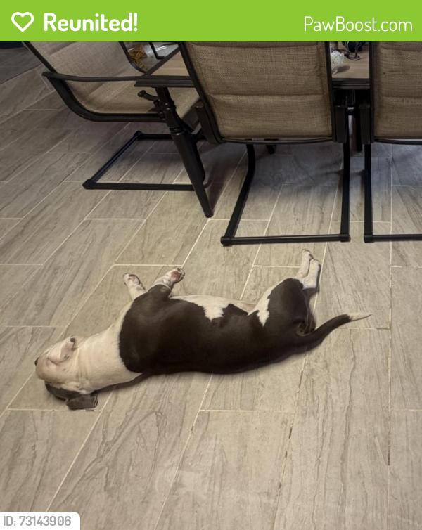 Reunited Male Dog last seen Near Huntwick ln 75703, Tyler, TX 75703