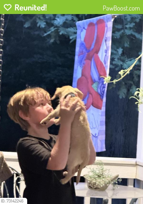Reunited Male Dog last seen Rover Zetella, Hwy 16, Blanton mill rd, Scott branch rd., Blanton Mill Rd, GA 30205