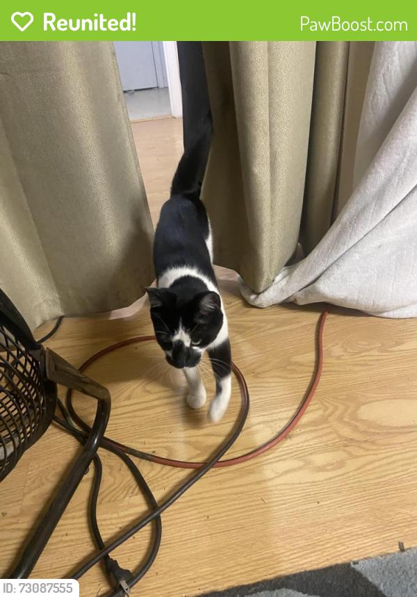 Reunited Unknown Cat last seen Near Redwood Circle, Petaluma, CA 94954