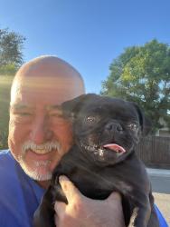 Reunited Female Dog last seen Maple av, Fresno, CA 93730