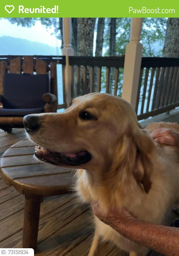 Reunited Unknown Dog last seen Blue Gill Lane, Glenville, NC 28736