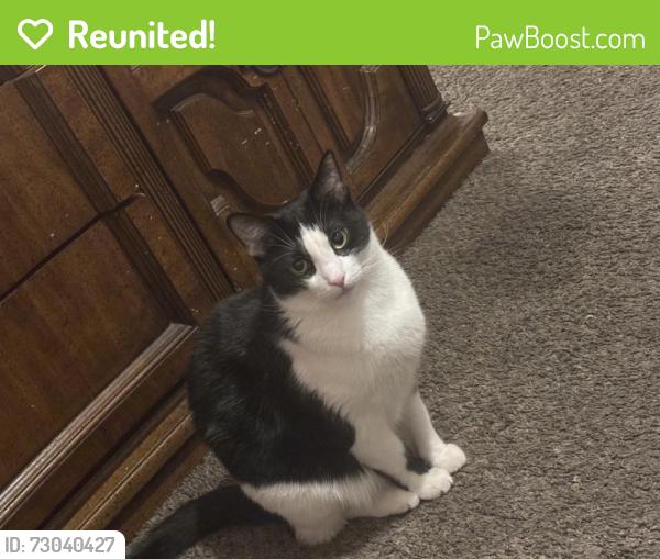 Reunited Male Cat last seen Bennington and 43rd, Kansas City, MO 64119