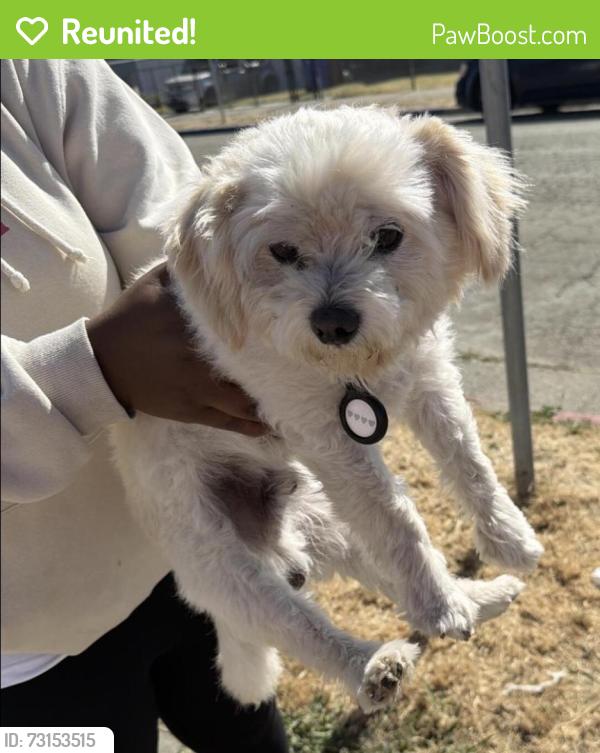 Reunited Male Dog last seen Center Avenue, Richmond, CA 94804