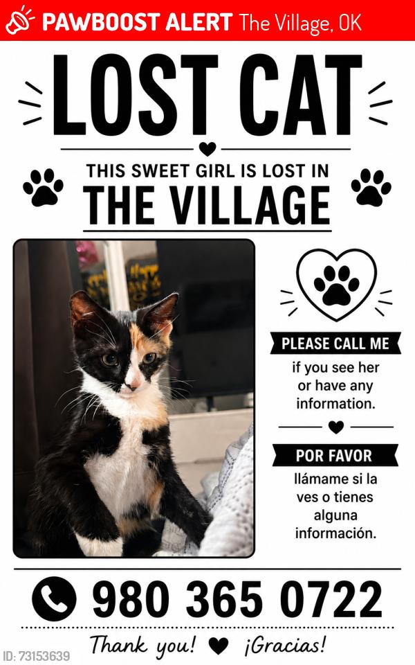 Lost Female Cat last seen Village dr, The Village, OK 73120