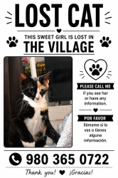 Lost Female Cat last seen Village dr, The Village, OK 73120
