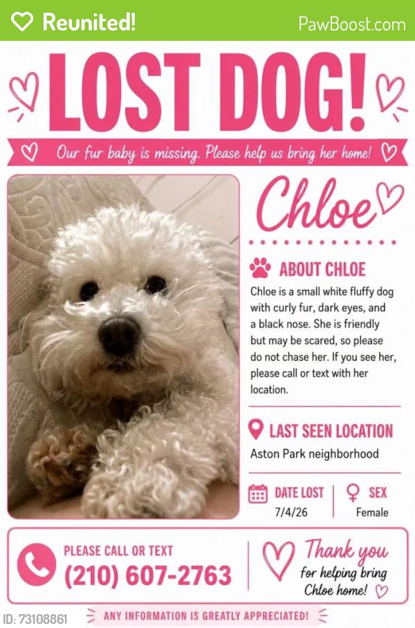 Reunited Female Dog last seen Aston park neighborhood, San Antonio, TX 78229