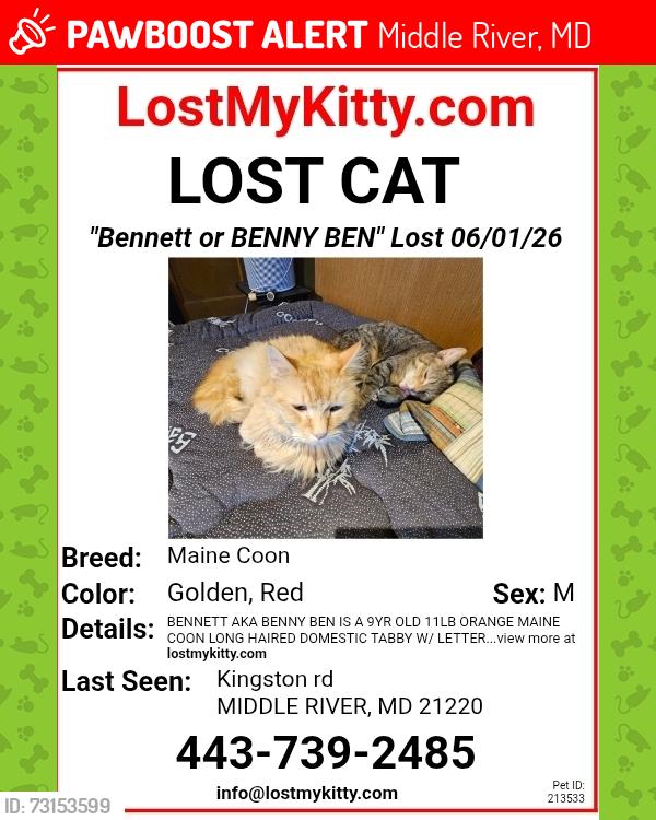 Lost Male Cat last seen Kingston rd Gershbecks, Middle River, MD 21220