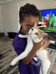 Reunited Male Cat last seen Near Harper turn, Manteno, IL 60950