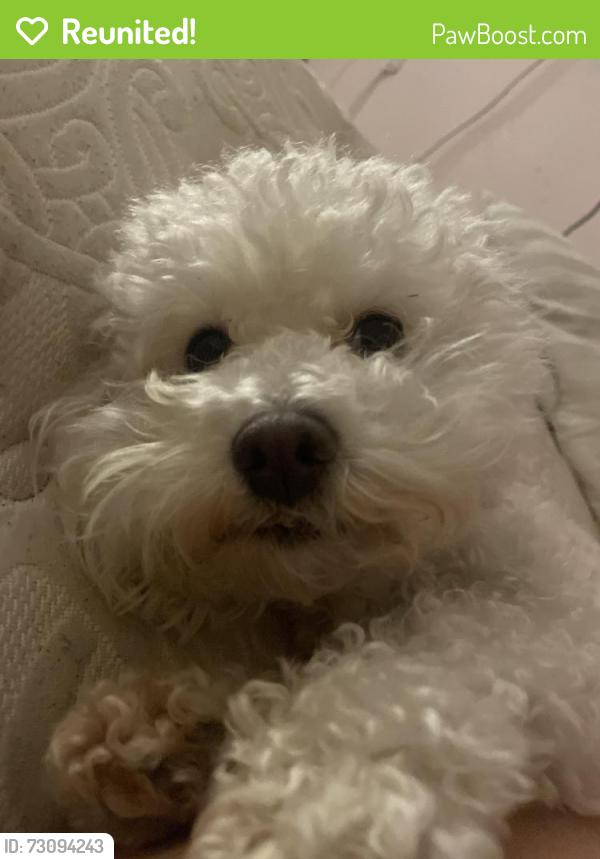 Reunited Female Dog last seen Near Chancery Gate, San Antonio, TX 78253