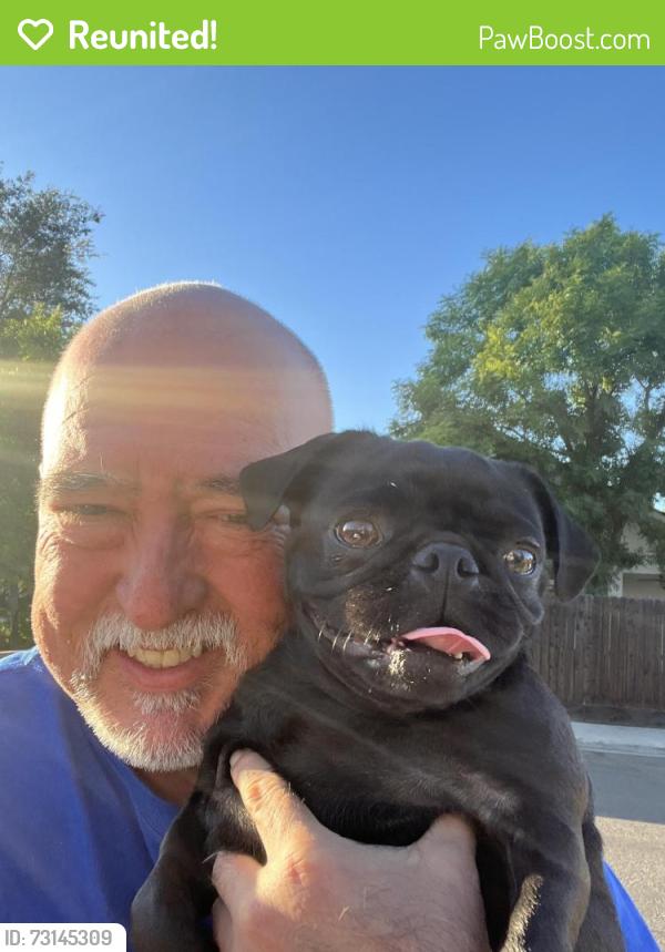 Reunited Female Dog last seen Maple av, Fresno, CA 93730