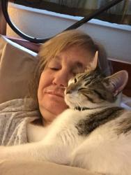 Lost Male Cat last seen Calle Estoria, Los Gatos, Los Gatos, CA 95032